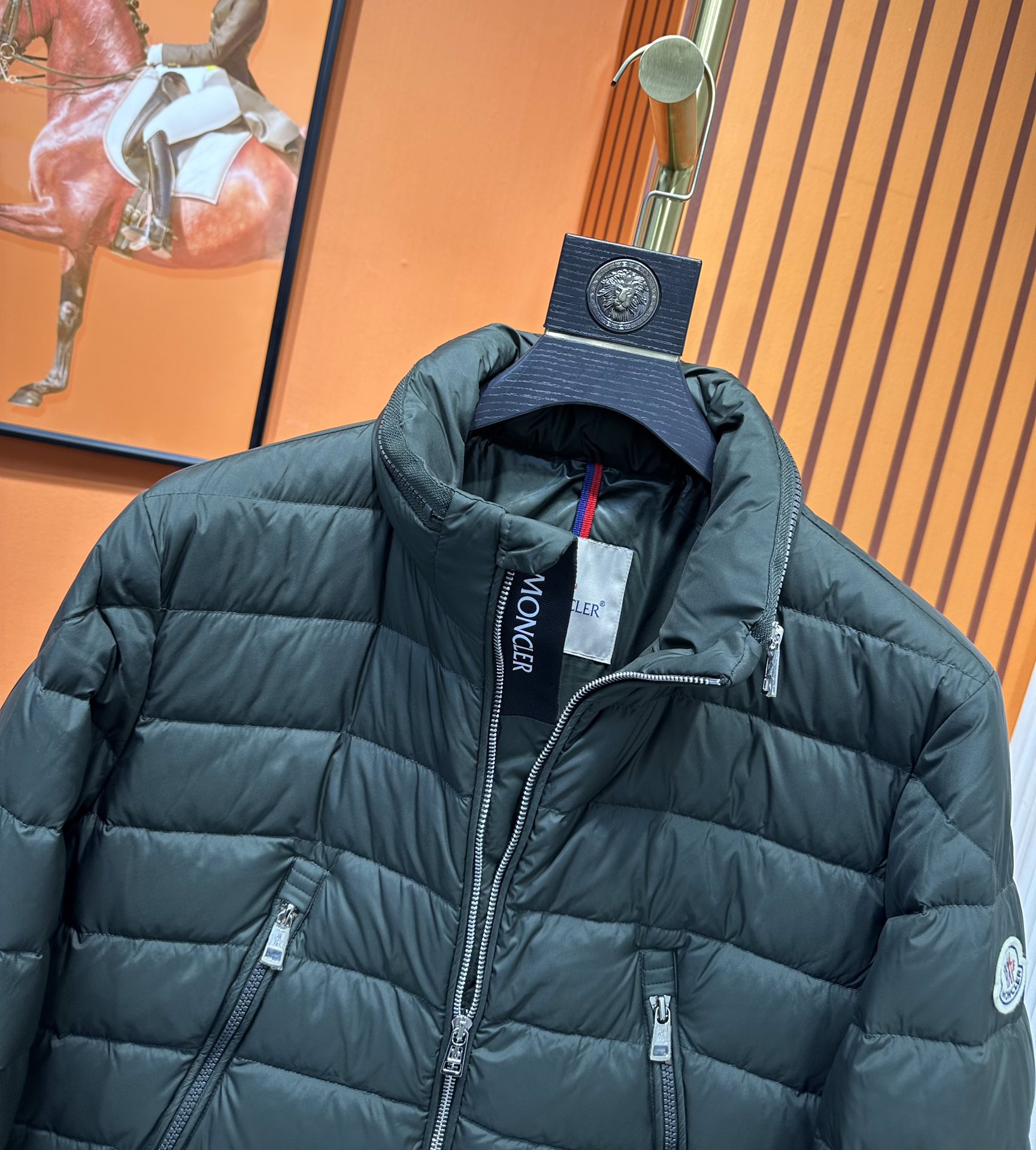 Moncler Down Jackets